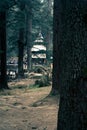A Distant Image of Hadimba Temple situated Inside a Pine Tree Forest Royalty Free Stock Photo