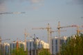 Inside place for many tall buildings under construction and cranes under a blue sky working on place with tall homes Royalty Free Stock Photo