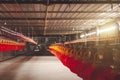 Inside of poultry modern farm and machine to give feed for small chicken