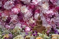 inside right, front view brown buddha in front of blur various flowers, blur wall flowers and roses colorful background, worship,