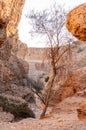 Inside Sesriem canyon in Namibia Royalty Free Stock Photo