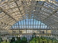 Inside the shady interior of the Temperate Glasshouse at Kew Gardens near London