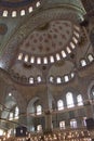 Inside the Sultan Ahmed Mosque (Blue Mosque). Hand-painted blue tiles adorn the mosqueÃ¢â¬â¢s interior walls