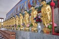 INSIDE THE TEMPLE : STANDING GOLD BUDDHAS