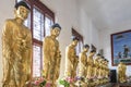 INSIDE THE TEMPLE : STANDING GOLD BUDDHAS