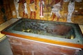 The Tomb of Tutankhamun