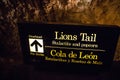 An inside trail to Carlsbad Cavern National Park