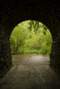 Inside Tunnel To Woods Royalty Free Stock Photo