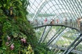 Inside View of The Flower Dome at Gardens By the Bay, Singapore