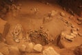 Inside view of a mound at Kolomoki Mounds Historic Park Royalty Free Stock Photo