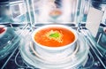 Inside view of new clean staniless microwave oven with a tomato soup in white plate