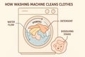 Inside a washing machine illustration explaining the process of cleaning clothes with water flow, detergent, and spinning action Royalty Free Stock Photo