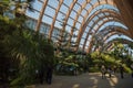 Inside the Winter Gardens in Sheffield, South Yorkshire