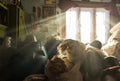 Inside the woodcutter house in Breb, Romania