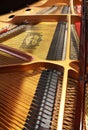 The inside of a Yamaha Grand Piano