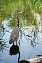 Walking around lake Montorge in Sion, Valais Switzerland in summer 2023