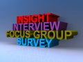 Insight interview focus group survey