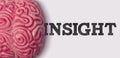 insight word next to a human brain model