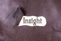 Insight word written on torn leather Royalty Free Stock Photo