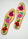 Insoles Royalty Free Stock Photo