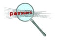 inspect password in magnifier