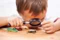 Inspecting some curious creatures. a young boy inspecting his toys with a magnifying glass. Royalty Free Stock Photo