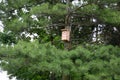 inspection of birdhouses on trees for spring nesting. A man in an overall fitter takes an ornithologist up a ladde