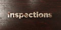 Inspections - grungy wooden headline on Maple - 3D rendered royalty free stock image