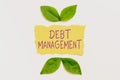 Text caption presenting Debt ManagementThe formal agreement between a debtor and a creditor. Business showcase The