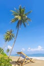 Inspiration of tropical beach, palm trees Royalty Free Stock Photo