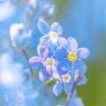 Inspirational blooms Forget me not flowers in macro, a springtime symphony