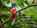 Beautiful peaceful Psalm quotation with a tropical bird in the rainforest.