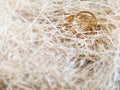 inspirational image of couple's rings with wood fiber in vintage background