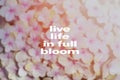 Life quotes - Live life in full bloom