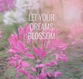 Inspirational and motivation quote on blurred flower background