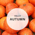 Inspirational motivation quote hello autumn with pumpkin on background