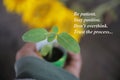 Inspirational motivational quote - Be patient. Stay positive. Do not overthink. Trust the process. With little plant in hand. Royalty Free Stock Photo