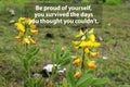 Inspirational motivational quote - Be proud of yourself, you survived the days you thought you couldn`t. With yellow wild flowers Royalty Free Stock Photo