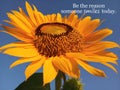 Inspirational motivational quote- Be the reason someone smiles today. With beautiful big & single sunflower blooming in closeup