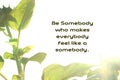 Inspirational motivational quote- be somebody who makes everybody feel like a somebody. With Natural leaves frame from nature in