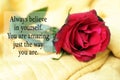 Inspirational motivational quote - Always believe in yourself. You are amazing just the way you are. With single red rose lying.