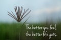 Inspirational motivational quote - The better you feel, the better life gets. With single wild grass flower on blur blue green.