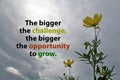 Inspirational motivational quote - The bigger the challenge, the bigger the opportunity to grow. With yellow wild cosmos flowers