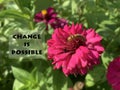 Inspirational motivational quote - Change is possible. With caterpillar on pink zinnia flowers on a green environment background.