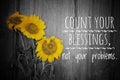 Inspirational motivational quote - count your blessings, not your problems. With three beautiful blossom on rustic wooden board