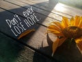 Inspirational motivational quote - Do not ever lose hope. With the sunlight and sunflower on wooden table.