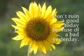 Inspirational motivational quote - Do not ruin a good today because of a bad yesterday. Words of wisdom with yellow sunflower Royalty Free Stock Photo