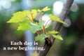 Inspirational motivational quote - Each day is a new beginning. With new life of green young leaves growth on a vine. New start.