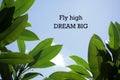 Inspirational motivational quote-Fly high. Dream big. With notes on green frangipani leaves and blue sky background. Words of Royalty Free Stock Photo