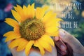 Inspirational motivational quote - If it is mean to be, it will be.With beautiful sunflower blossom in hands. Royalty Free Stock Photo